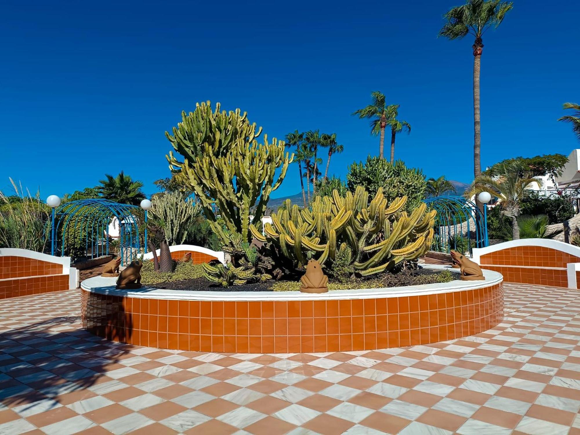Casa Paula - Hermoso Bungalow Σαν Μιγκέλ ντε Αμπόνα Εξωτερικό φωτογραφία